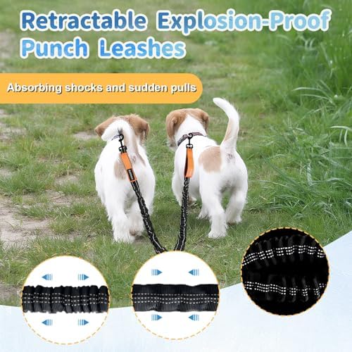 Double Dogs Leash