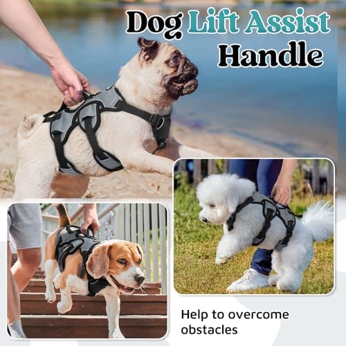 rabbitgoo Escape Proof Dog Harness