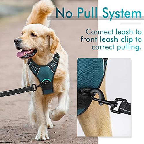 rabbitgoo Dog Harness, No Pull for Small Dogs