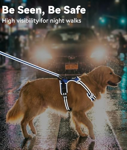 Joytale No Pull Dog Harness Medium Sized Dog, Front Clip
