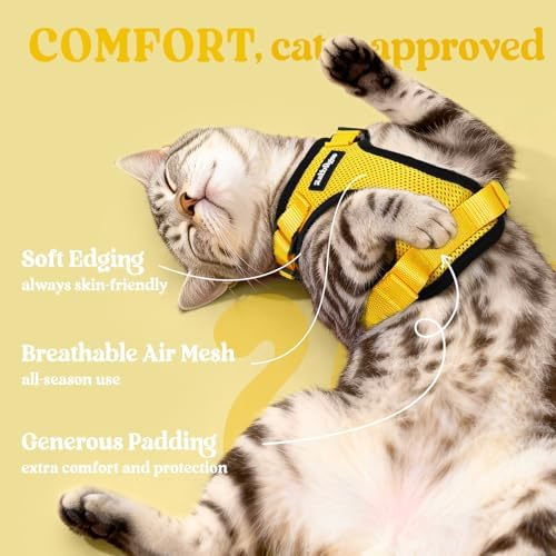 rabbitgoo Cat Harness and Leash Set, Escape Proof Vest