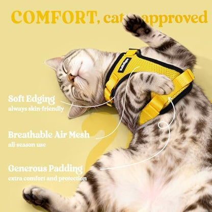 rabbitgoo Cat Harness and Leash Set, Escape Proof Vest