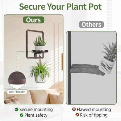 LASZOLA Plant Picture Frame Holder Shelf Wall
