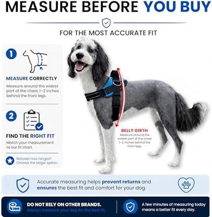 ShawnCo Essential Dog Harness, No-Pull Pet Vest