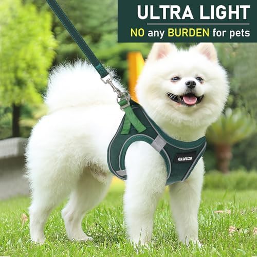 GAMUDA Small Pet Harness Collar and Leash Set, Step in No Chock No Pull Linen
