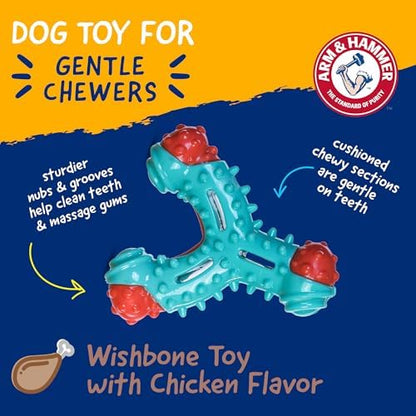 Arm & Hammer Nubbies Wishbone Dental Dog Chew Toy, Chicken Flavor