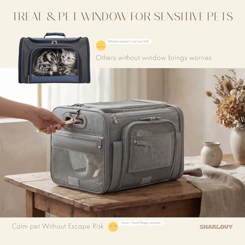 Top-Expandable Pet Carrier
