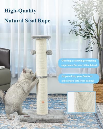 34Inch Tall Cat Scratching Post