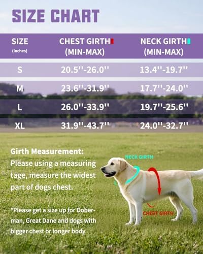 AUROTH Dog Harness and Leash Set