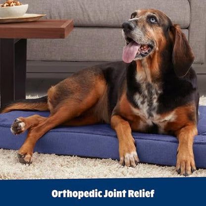 BarkBox Orthopedic Dog Bed