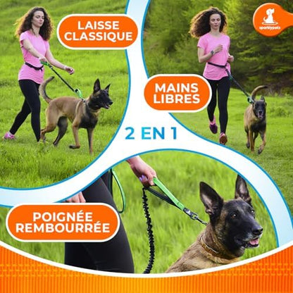 SparklyPets Hands Free Dog Leash, Medium & Large Breeds