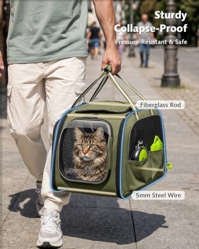 Pecute Cat Carrier, Double Bubble Pet Carrier