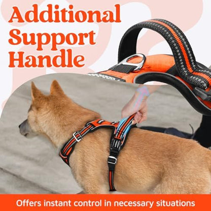 rabbitgoo Dog Harness for Large, No Pull 3 Buckles Easy On & Off