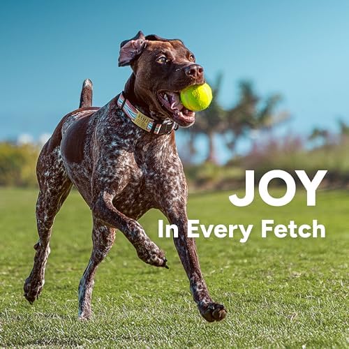 GoSports Pets 24 Inch Dog Ball Launcher
