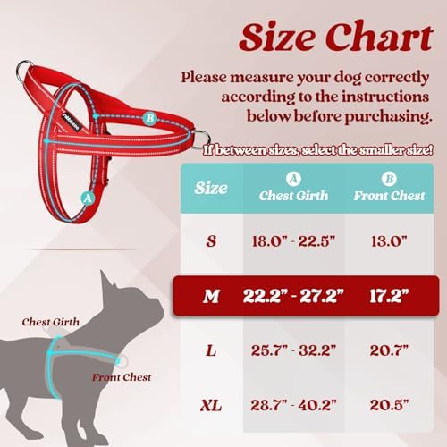 rabbitgoo Dog Harness No Pull, Quick Fit