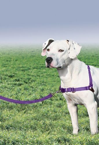 PetSafe Easy Walk Harness, No Pull Dog Harness, Deep Purple