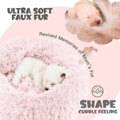 Himax 20in Covered Small Dog Bed