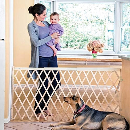 Evenflo Expansion Walk-Thru Room Divider Baby Gate
