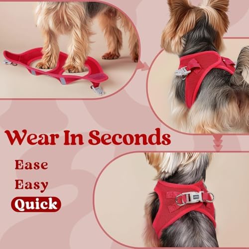 rabbitgoo Step-in Small Dog Harness, Puppy Vest