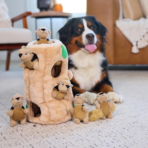 Outward Hound Hide-A-Squirrel Plush Squeaky Dog Toy