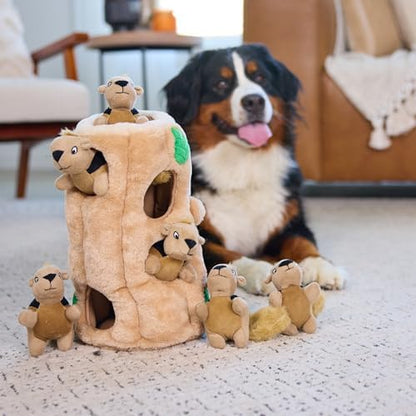 Outward Hound Hide-A-Squirrel Plush Squeaky Dog Toy