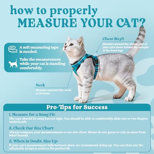 rabbitgoo Cat Harness and Leash Set, Escape Proof Vest