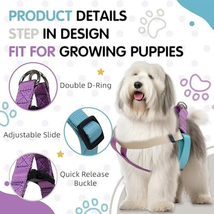 Medium Dog Harness, Adjustable Tri-Color No Pull, Heavy Duty, Easy Walk