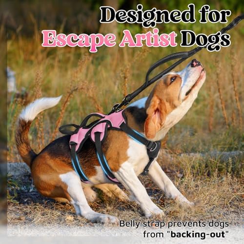 rabbitgoo Escape Proof Dog Harness