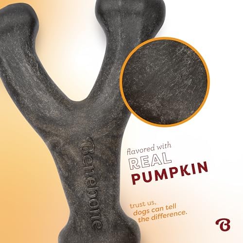 Benebone Wishbone Chew Toy for Aggressive Chewers, Pumpkin Spice