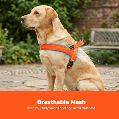 Didog No Pull Dog Harness for Large Dogs, Breathable Mesh Padded