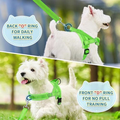 SlowTon No Pull Small Dog Harness and Leash Set