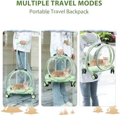 Transparent & Fully Breathable Hard cat Carrier