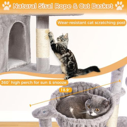 51“ Cat Tree for Indoor Cats, Medium Multi Level Cat Tower