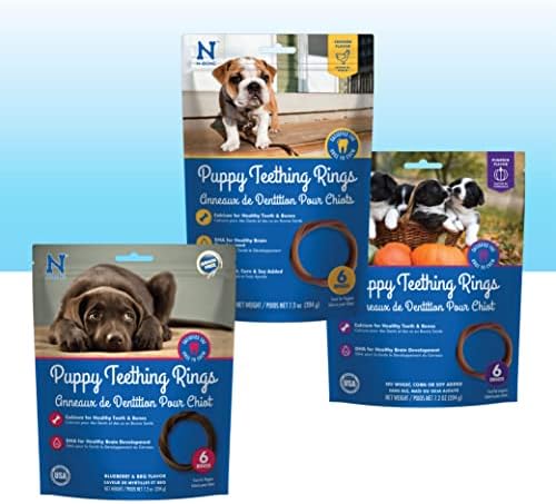 N-Bone Puppy Teething Rings, Pumpkin & Blueberry BBQ Flavor, Natural Puppy Chew
