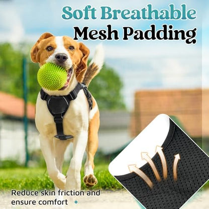 rabbitgoo Escape Proof Dog Harness