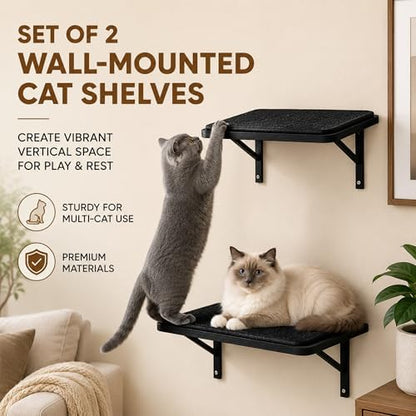 Cat Wall Shelves Set of 2