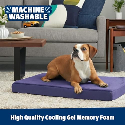 BarkBox Orthopedic Dog Bed
