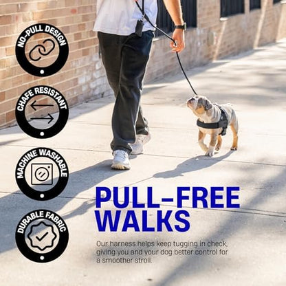 Dog Friendly Co. Dog Harness for Small Dogs