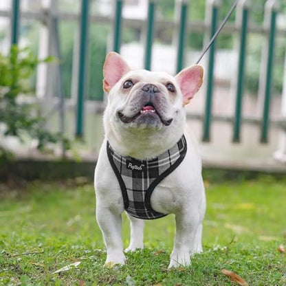 PUPTECK Small Dog Harness and Leash Set No Pull