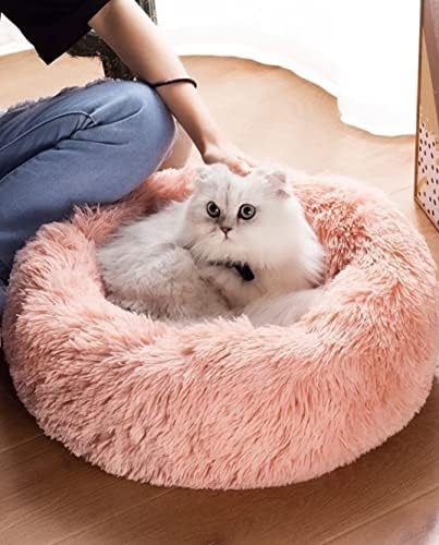 Cat Beds for Indoor Cats