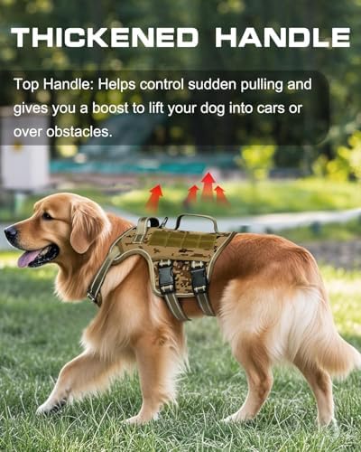 Dog Harness Medium Sized Dog, No Pull Dog Vest