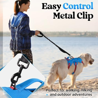 rabbitgoo Escape Proof Dog Harness