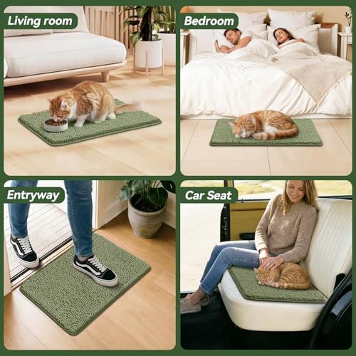 Bcoimo Super Absorbent Cat Door Mat