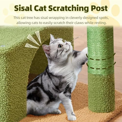 Taoqimiao 32.2in Cat Tree with Toy, Small Cat Tower