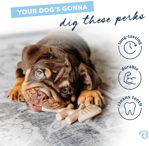 Benebone Puppy Fishbone Dog Chew Toys, Softer