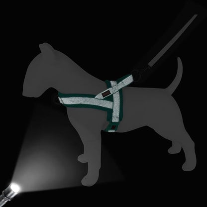 Didog No Pull Dog Harness with Breathable Mesh Padded, Full Reflective & Quick Fit Adjustable Vest Harness, Easy for Training Walking for Small & Medium and Large Dogs (Green, S:Chest 18-22")