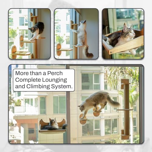 4-in-1 Window & Wall Mount Cat Wall Shelves – Hammock, Steps & Scratching Post