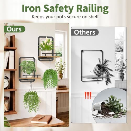 LASZOLA Plant Picture Frame Holder Shelf Wall Window Indoor