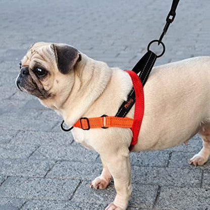 Didog No Pull Dog Harness for Medium Dogs, Soft Padded Handle