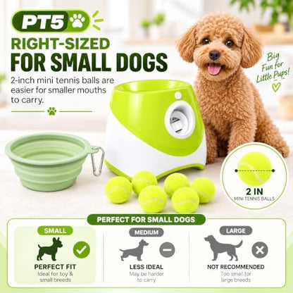 PT5 Automatic Dog Ball Launcher